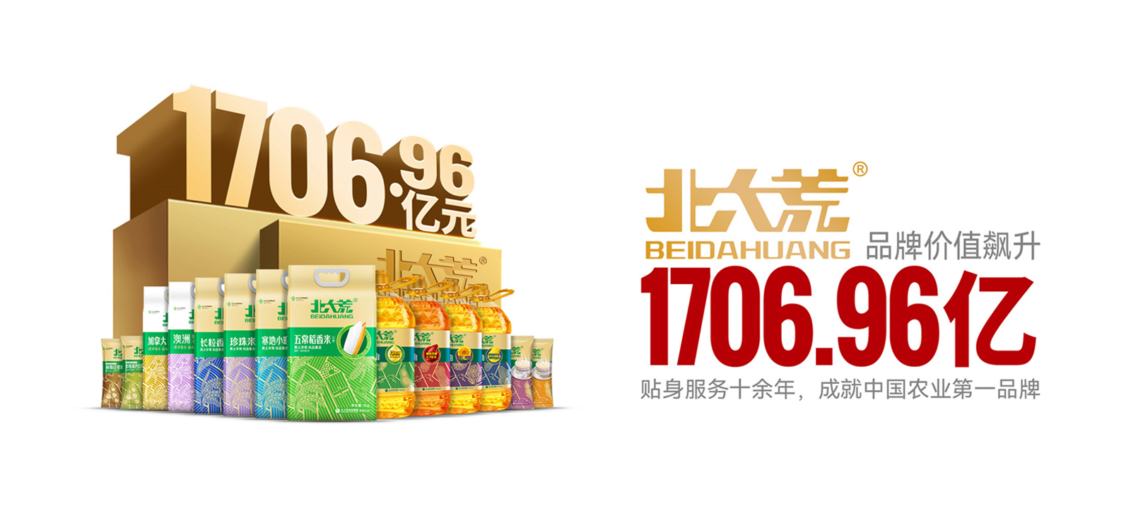 百億級北大荒 品牌咨詢全案